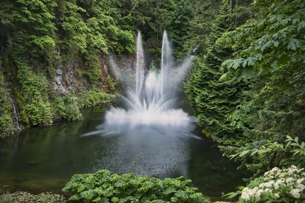 Butchart Jardins fontaine du lac — Photo