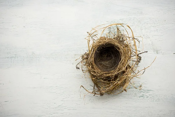 Ptak puste gniazdo — Zdjęcie stockowe