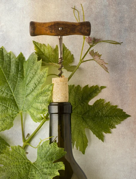 ワインの瓶の静物 — ストック写真