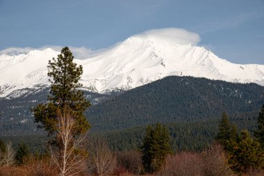 Shasts Dağı 'ndan alınan Shasta Dağı manzarası.