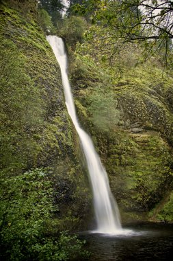 At kuyruğu falls, Oregon