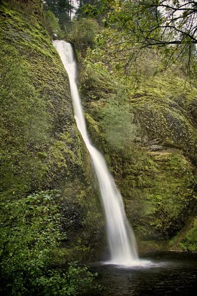 Paardestaart valt, Oregon — Stockfoto