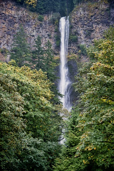 Bovenste multnomah falls — Stockfoto