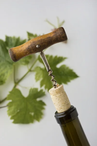 Вино відкривачка крупним планом — стокове фото