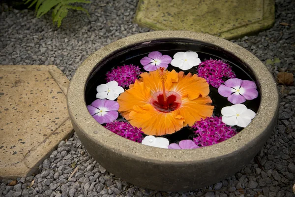 Tigela de flores bonitas na área de spa — Fotografia de Stock