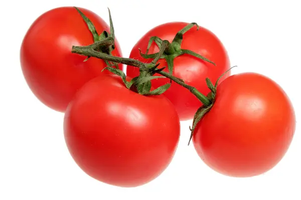 Tomates sobre fondo blanco — Foto de Stock