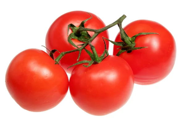 Tomates sobre fondo blanco — Foto de Stock