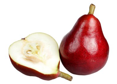 armut beyaz arkaplanda