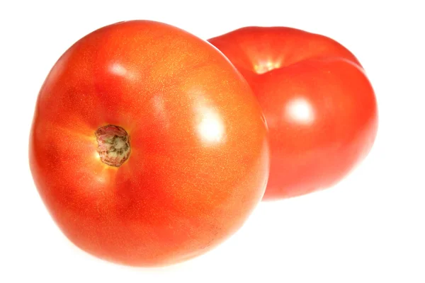 Tomates sobre fondo blanco — Foto de Stock