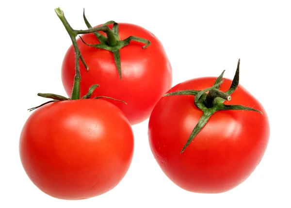 Tomates sobre um fundo branco — Fotografia de Stock