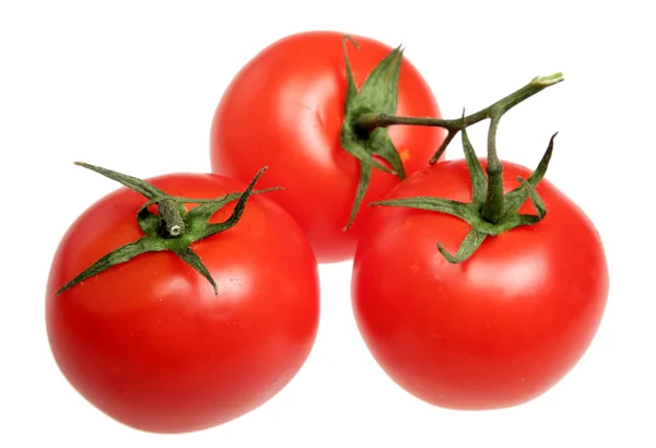 Tomates sobre fondo blanco — Foto de Stock