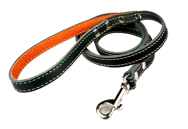 Beyaz zemin üzerinde bir köpek için kurşun