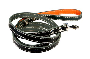 Beyaz zemin üzerinde bir köpek için kurşun