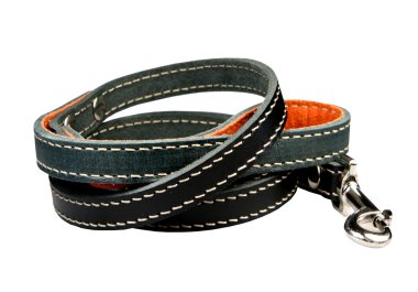 Beyaz zemin üzerinde bir köpek için kurşun