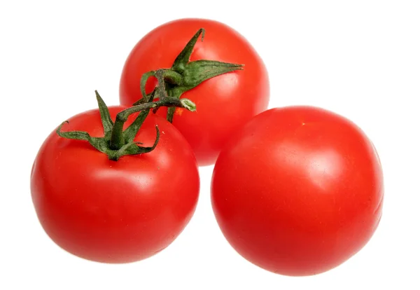 Tomates sobre um fundo branco — Fotografia de Stock