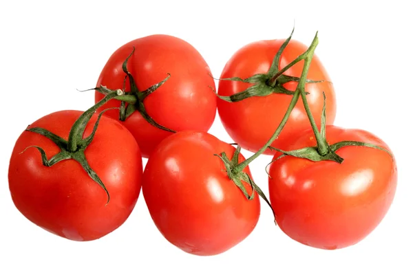 Tomates sobre fondo blanco — Foto de Stock