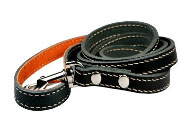 Beyaz zemin üzerinde bir köpek için kurşun