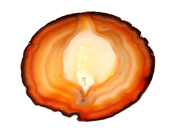 Agate cut on a white background — Stock Photo, Image