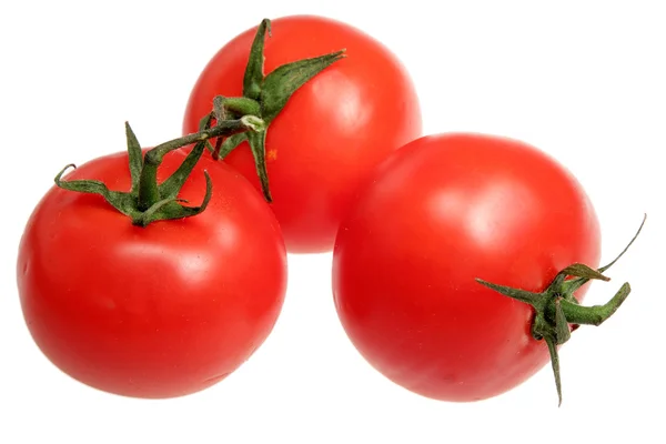 Tomates sobre um fundo branco — Fotografia de Stock