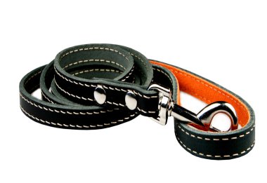 Beyaz zemin üzerinde bir köpek için kurşun