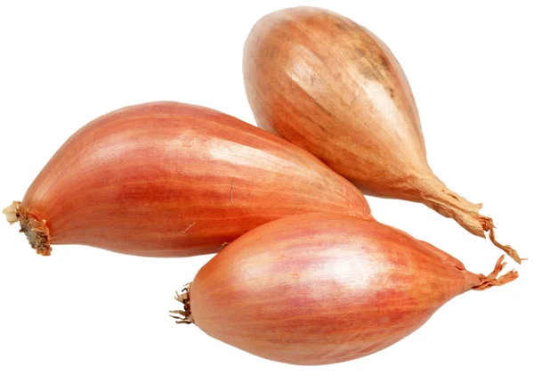 Onions in a peel on a white background — Stock Photo, Image