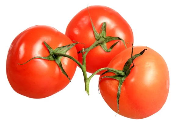 Tomates sobre fondo blanco — Foto de Stock