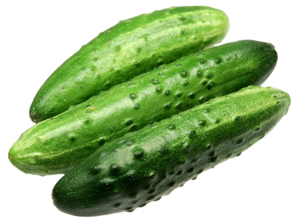 Ripe cucumbers on a white background — Stock Photo, Image