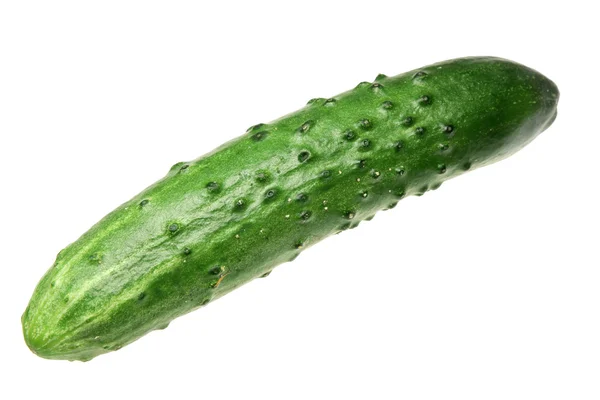 Ripe cucumber on a white background — Stock Photo, Image