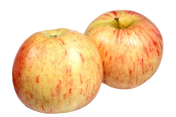 Zwei Äpfel sind auf weißem Hintergrund isoliert — Stockfoto