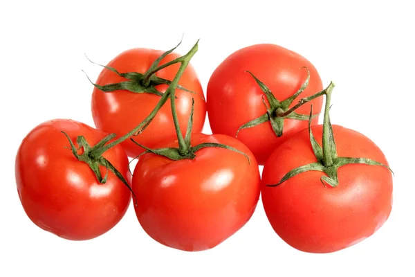 Tomates sobre fondo blanco — Foto de Stock