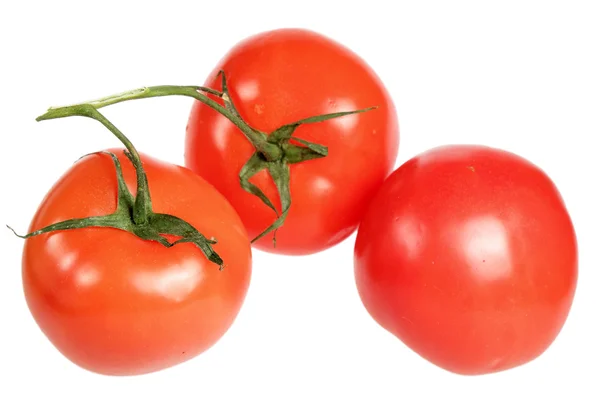 Tomates sobre fondo blanco — Foto de Stock