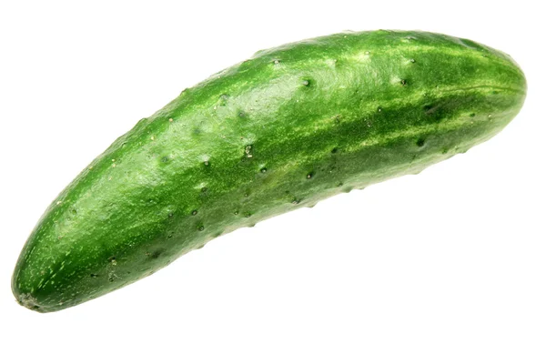 Ripe cucumber on a white background — Stock Photo, Image