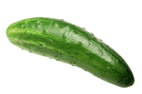 Ripe cucumber on a white background — Stock Photo, Image