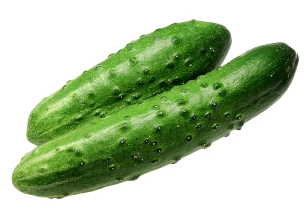 Rijp komkommers op een witte achtergrond — Stockfoto