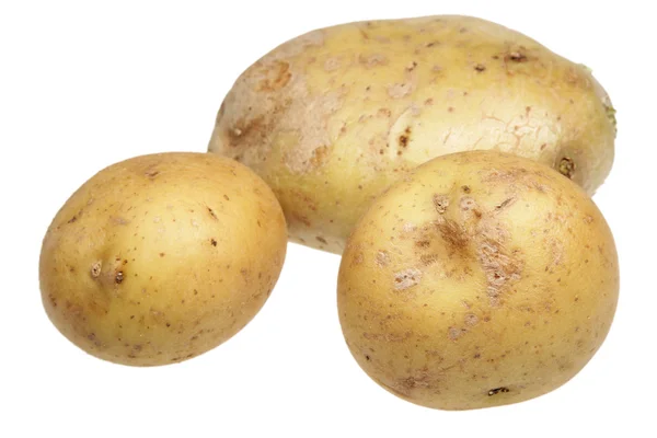 Aardappelen op een witte achtergrond — Stockfoto