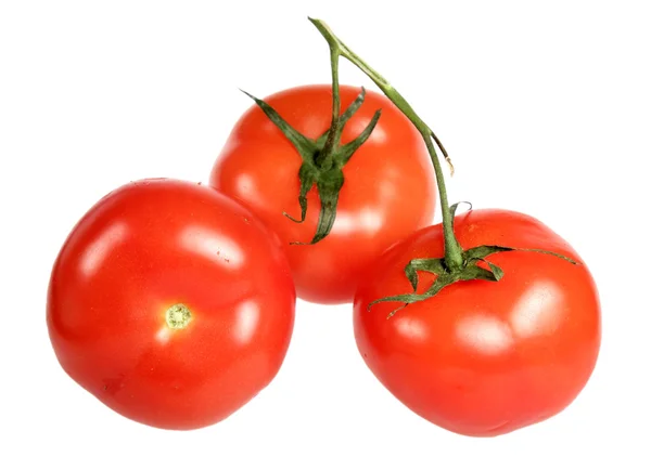 Tomates sobre um fundo branco — Fotografia de Stock