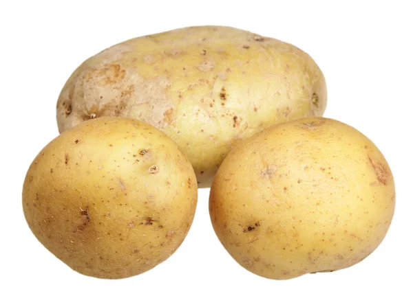 흰 배경의 감자 — 스톡 사진