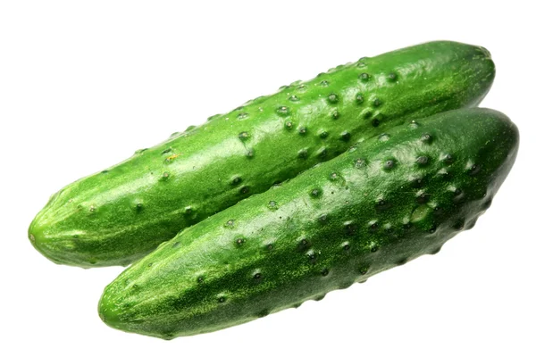 Ripe cucumbers on a white background — Stock Photo, Image