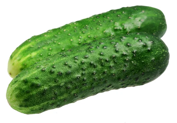 Two cucumbers on a white background — Stock Photo, Image