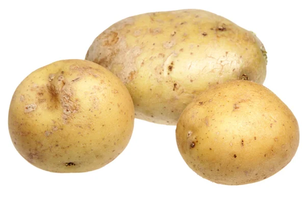 흰 배경의 감자 — 스톡 사진