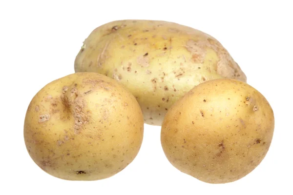 Aardappelen op een witte achtergrond — Stockfoto