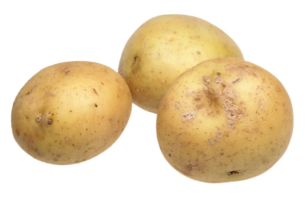 Aardappelen op een witte achtergrond — Stockfoto