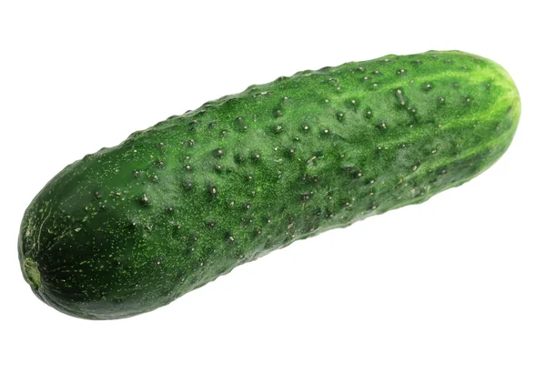 Green cucumber on a white background — Stock Photo, Image