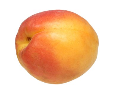 Beyaz arkaplanda kayısılar