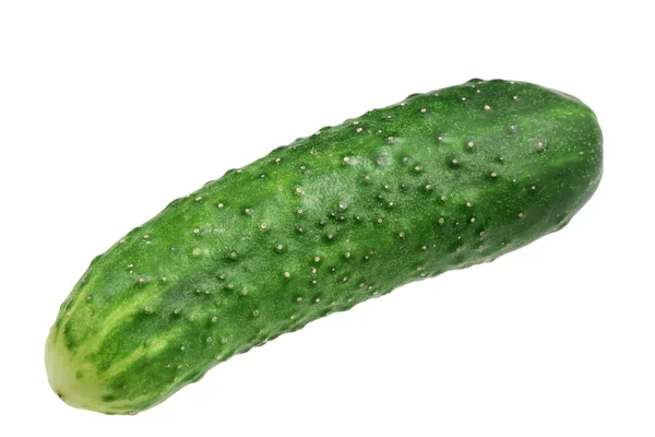 Pepino verde em um fundo branco — Fotografia de Stock