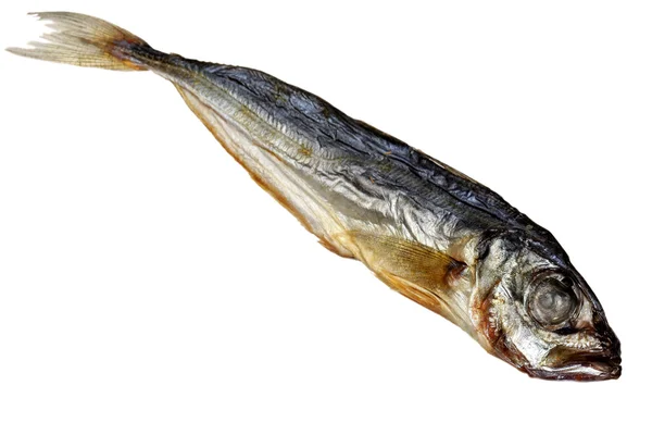 Рыба-шпрота на белом фоне — стоковое фото