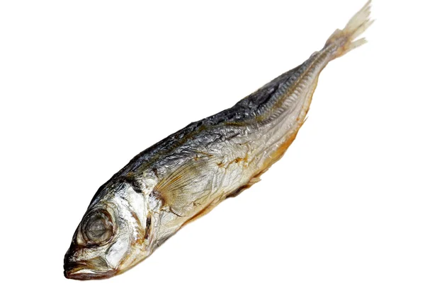 Fisk en brisling på hvit bakgrunn – stockfoto