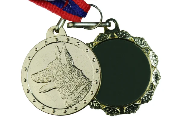 Two medals — Stock Photo, Image