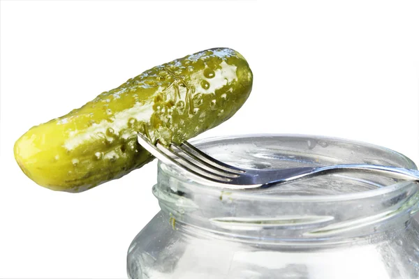 Pickled cucumber — Stock Photo, Image