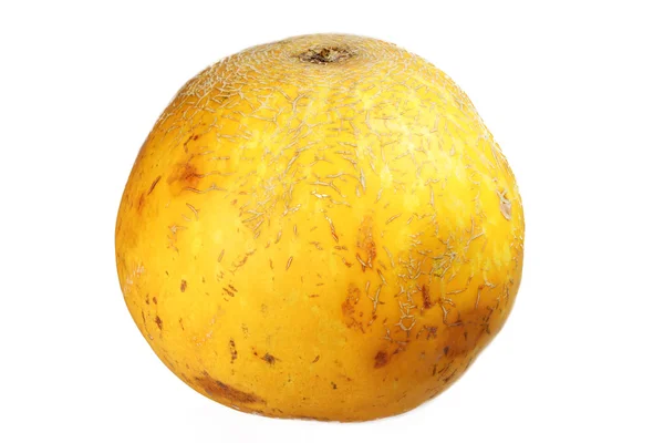 Melone — Foto Stock